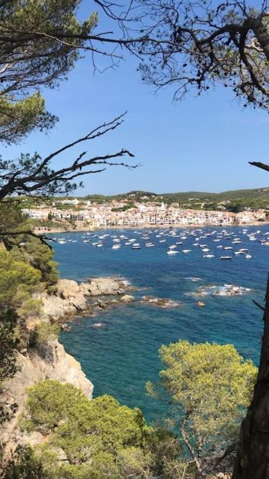 The Golden Oak In Calella Centre - 100m From Appartement