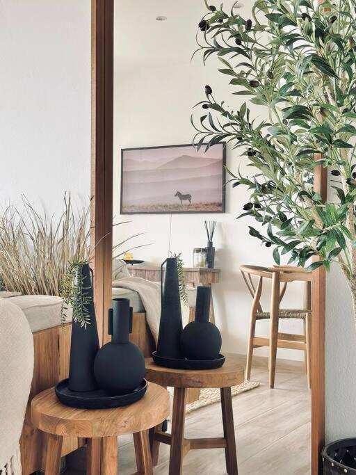 The Golden Oak In Calella Centre - 100m From Apartment